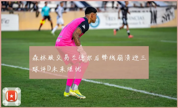 森林狼交易兰德尔后锋线崩溃迎三球评D未来堪忧