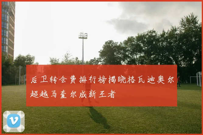 后卫转会费排行榜揭晓格瓦迪奥尔超越马奎尔成新王者